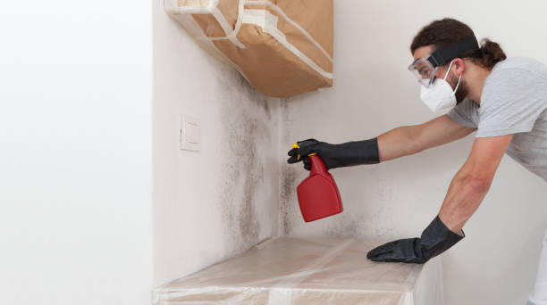Professional Basement Mold Remediation technician working in Fort Washington, PA