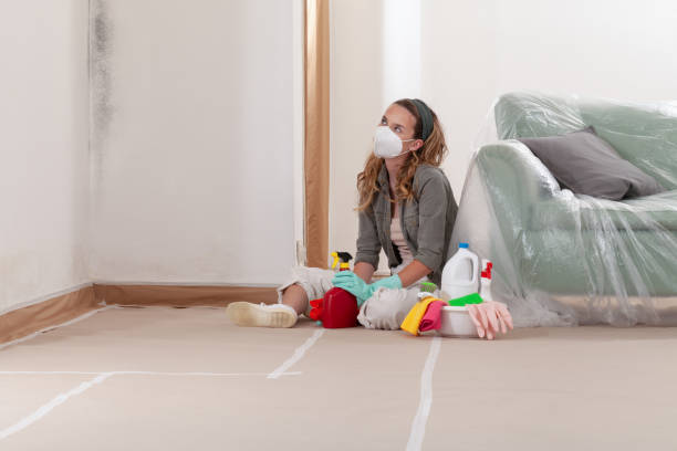 Reliable Basement Mold Remediation contractor in Fort Washington, PA by WQB Mold Removal