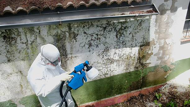 Top rated local Basement Mold Remediation specialists in Fort Washington, PA